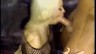 Darksome-hair boyfrend bonks a breasty mature blond in fishnet