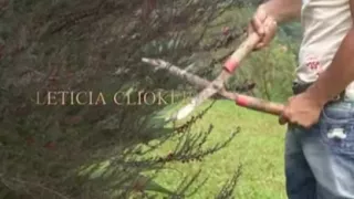 Leticia Clioker - anal sex