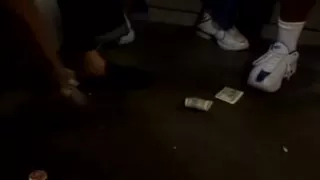 Vixen Vogel and Ashley Blue