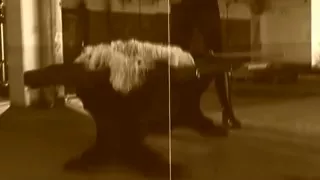 Kinky submissive slut gets some crazy dildo pounding