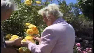 BBW, Double Anal, Double Penetration, Facial, Group Sex, Penetration