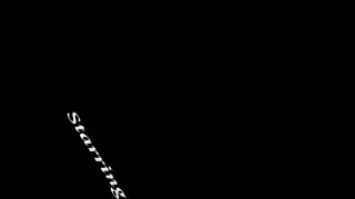 Lewd babe chases big black knobs