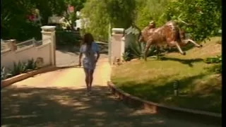 Dark Brown nurse getting a-hole drilled at the desk