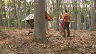 Forest Blowjobs and buttfucking in the great outdoors