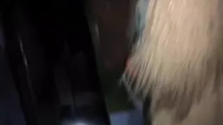 Trashy british bitches