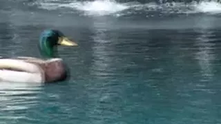 Mamas like it in the butt p1