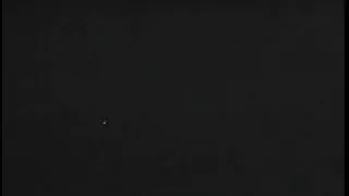 Mate licks older brunette hair hair's muff