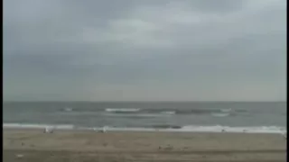 Dutch Beach Whore acquire a Hard Fuck an Anal