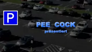 Sexually bewitching golden-haired is drilled up her a-hole