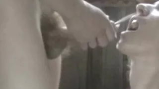 my wife fuck anal and cum mix1