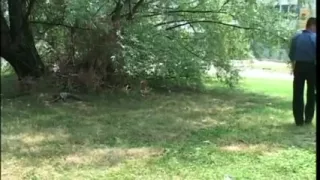 Hawt tranny stuffs his hungry butt aperture