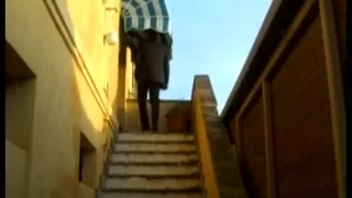 Italian Daddies 01 Males Butt-Loved