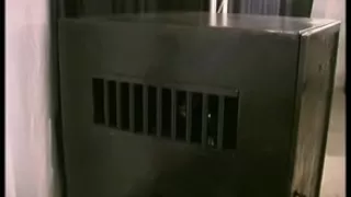 displayed redhead villein