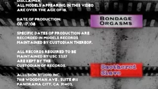 Sexverkäuferin wird von zwei Kunden gefesselt und gebohrt