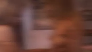 Drei blonde Lesben beim geilen Oralsex