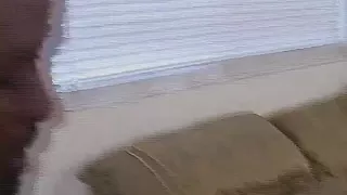 Ebony is humped by her boyfriend