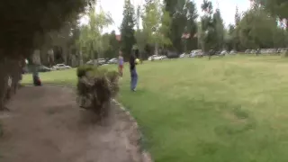 Die tittenlose Blondine lässt die Strümpfe an