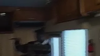 Gemischtrassiger Gangbang