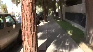 Alexis Texas im ultimativem Fickvideo