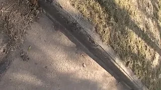 Luder durchquert die Straßen splitternackt