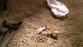 Porn Star Amber Smith