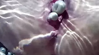 Queensnake.com - Aqua 1