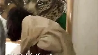 Hood Bitch gefickt von Gangbangers