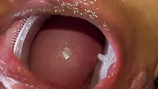 Queensnake.com - Hair Rollers 1