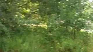 pigtailed girl fucked on the side of all the holes