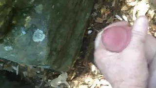 Wichsen am FKK-Strand im Gebüsch