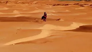 Laura Pausini 'It's Not Goodbye'