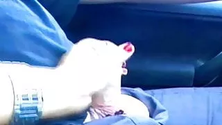 Handjob im Auto - by ladygaga-heels