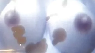 Sæd, Nuttet, Gay, Onani, Tøs