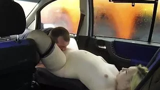 pregnant bich working