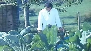 No More Tips, No More Cream