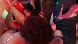 Club bitches suck and fuck cocks