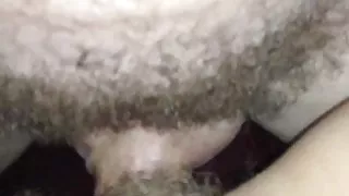 Cumshots on ex-gf's pussies (some hairy and creampie)