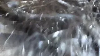 Korean Civilian Plz, Tear My Stockings