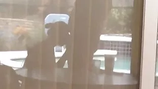 Silhouette of a blow job