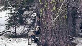 Gemma Donato nude - S-leeping Beauty