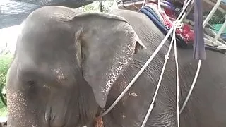 Blowjob as a punishment