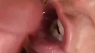 Paradise Films The ultimate titjob