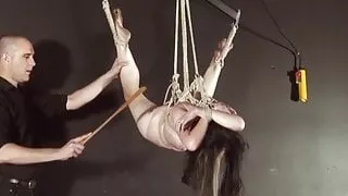 introducing a new slave IV