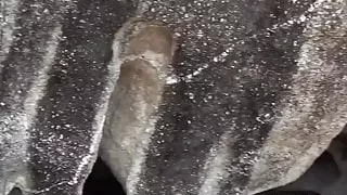 Hot fuck near the stone wall