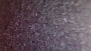 Found her in the woods