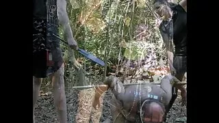 stooges & MISTRESSES