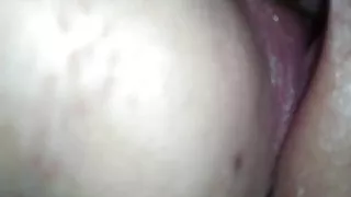 bbw riding me reverse cowgirl