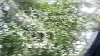 Hitchhiking teen fucked by her driver