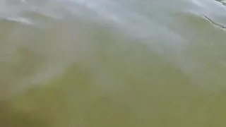 HornyAgent Bikini girl with big tits fucked at the lake