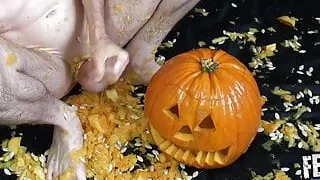 Amateursex, Fetischsex, Schwuler Sex, Masturbation, Pumpe, Spielzeuge